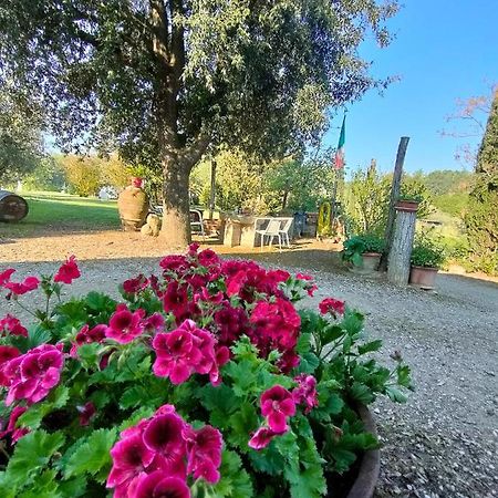 סן ג'ימיניאנו Azienda Agricola Polveraia מראה חיצוני תמונה