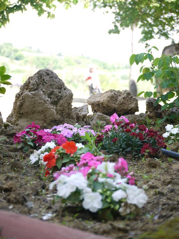 סן ג'ימיניאנו Azienda Agricola Polveraia מראה חיצוני תמונה